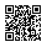 P4KE13-B QRCode