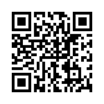 P4KE170-B QRCode