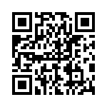 P4KE200A-B QRCode