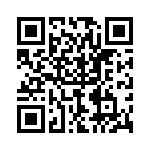 P4KE300-B QRCode