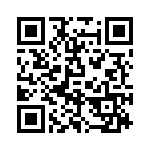 P4KE500 QRCode