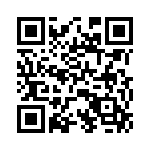 P4KE510-B QRCode