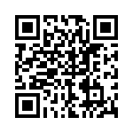 P4KE91A-B QRCode