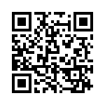 P6KE100 QRCode