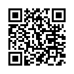 P6KE300AHB0G QRCode