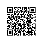 PE0100BJ10133BG1 QRCode