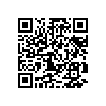 PE2010DKM070R033L QRCode