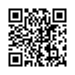 PES-04-01-S-VT QRCode