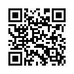 PK10X256VMD100 QRCode