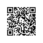 PP11-62-4-00A-34861-101-V QRCode