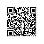 PT02E-10-98P-023 QRCode