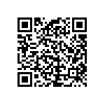 RCP1206B300RJED QRCode