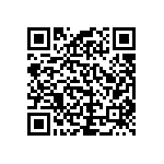 RCP1206B300RJET QRCode