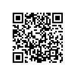 RG1005P-4120-B-T1 QRCode