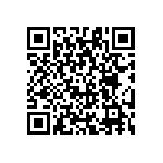 RG1608N-101-P-T1 QRCode