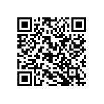 RG2012P-1333-B-T5 QRCode