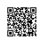 RG2012P-9761-P-T1 QRCode