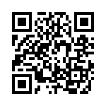 RJHSE538004 QRCode