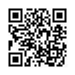 RJHSEE38T04 QRCode