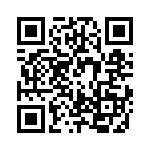 RJHSEG383A4 QRCode