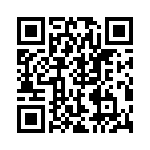 RJHSEJ384A4 QRCode