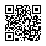 RJLSE4338101T QRCode