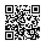 RM064PJ914CS QRCode