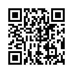 RN55C1004BRSL QRCode