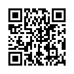 RN55C1241DRSL QRCode