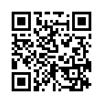 RN55C1333BRSL QRCode