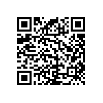 RNC50J1013BSBSL QRCode