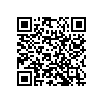 RNC55H1002BRRE6 QRCode