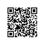 RNC55H1063BSBSL QRCode