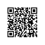 RNC55H1173BSRSL QRCode