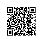 RNC55H11R3DSBSL QRCode