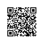 RNC55H1333BRBSL QRCode