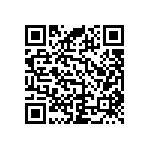 RNC55H1653BSRSL QRCode