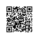 RNC55H1653FSBSL QRCode