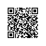 RNC55H1691BRRSL QRCode