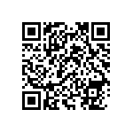 RNC55H16R0DSRSL QRCode