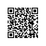 RNC55H1741BSRSL QRCode