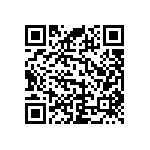 RNC55H1913BSRSL QRCode