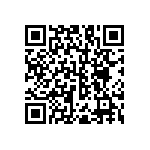 RNC55H2132BSR36 QRCode