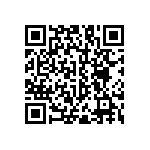 RNC55H2231DSBSL QRCode