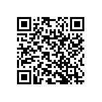 RNC55H2941BSRSL QRCode