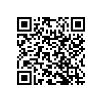 RNC55H3011BSRSL QRCode