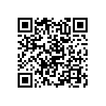 RNC55H3052DSBSL QRCode