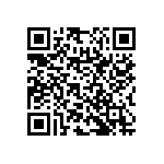 RNC55H3160BSBSL QRCode