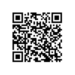 RNC55H3163BSRSL QRCode