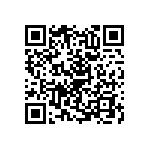 RNC55H3203BSBSL QRCode